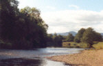sea trout fishing - river