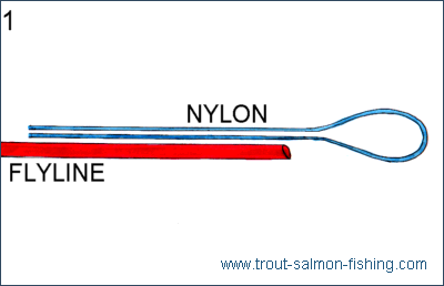 Fly fishing knots - Gray's Loop 1
