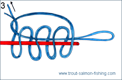 Fly fishing knots - Gray's Loop 3