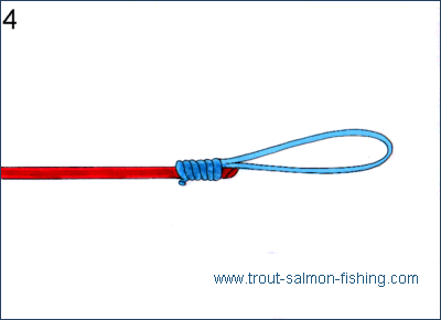 Fly fishing knots - Gray's Loop 4