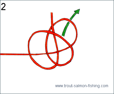 Fly fishing knots - Perfection loop 2