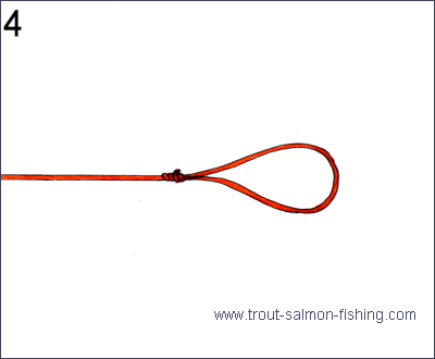 Fly fishing knots - Perfection loop 4