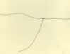 Water Knot