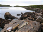 Fishing in Scotland