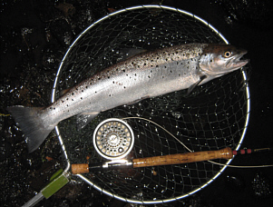 Fishing Articles - Sea Trout Fishing