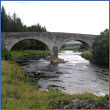 Salmon Fishing