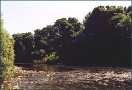 River Annan at Milkfoot
