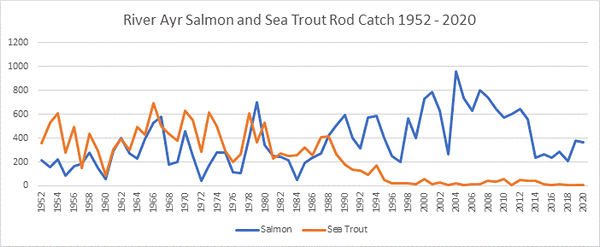 River Ayrn Salmon Catches