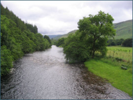 River Broom - salmon and sea trout fishing
