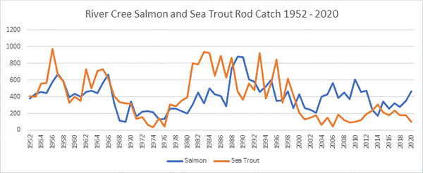 River Cree Salmon Catches