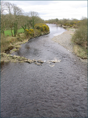 Salmon and Sea Trout Fishing on the River Luce