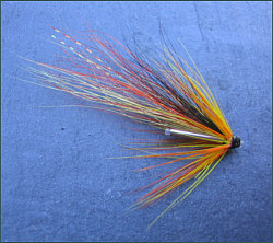 Salmon Fly 