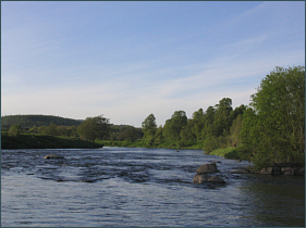 Salmon Fishing in Scotland