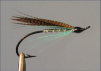 Medicine - Sea Trout Fly