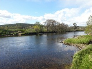 Auchernack Burn Pool, Grantown