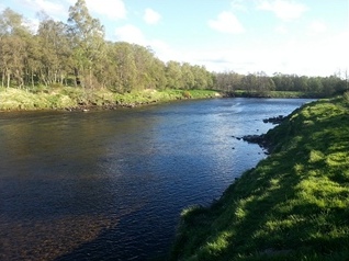 Poll Scriodan, River Spey