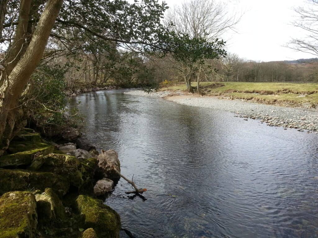 Sea trout fishing in Eskdale