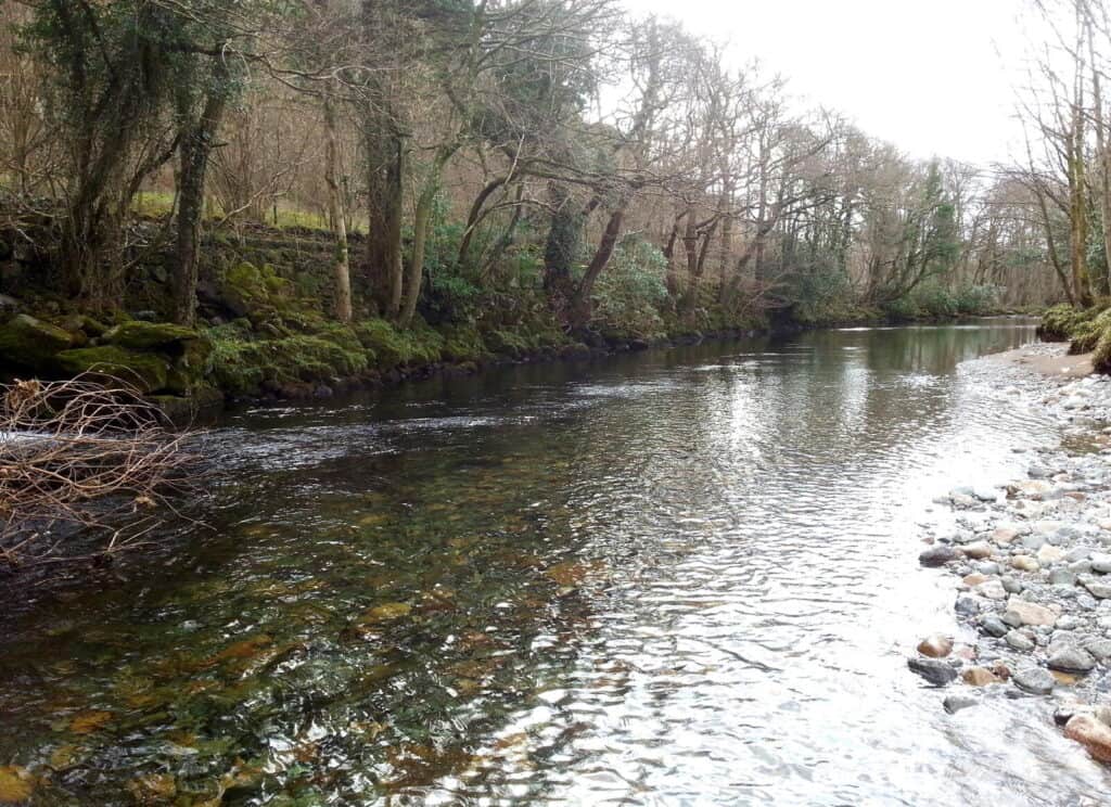 The lower part of Fisher Beck, Falkus Esk