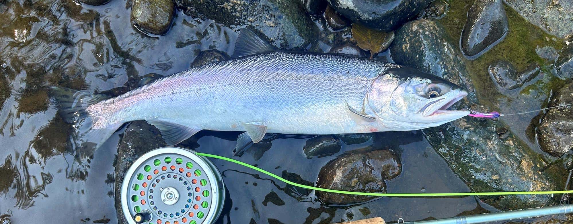 Fly Fishing on Vancouver Island