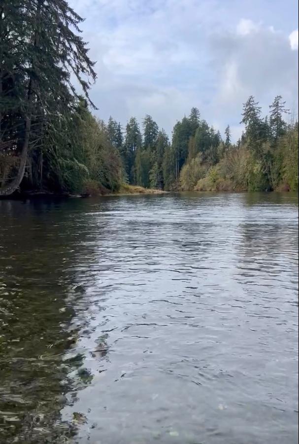 Sooke River Fishing in the Fall