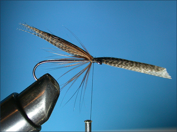 Mallard & Silver Sea Trout Fly