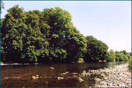 River Annan Goats Pool at Hoddom Castle