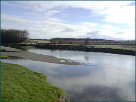  Royal Four Towns fishing River Annan