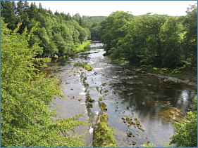 salmon fishing southern scotland