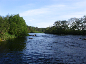 Spey Sea Trout Fishing