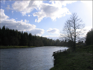 Sea Trout River