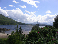 Trout Fishing Loch Laggan