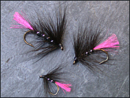 Trout Loch Flies