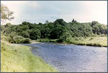 Willow Pool, Border Esk